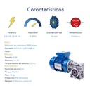 Caracteristicas Motorreductor trifasico Waisens 0.12 HP 19 RPM Eje 14 mm