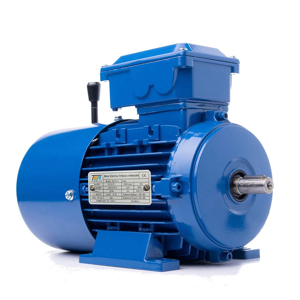 Motor trifásico con freno TEM