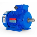 Motor Trifásico MEC MS