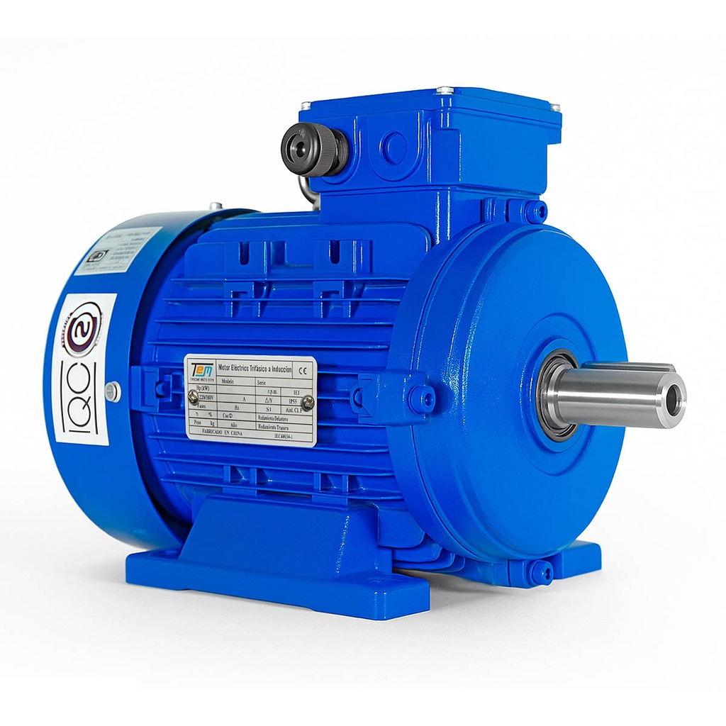 Motor Trifásico TEM