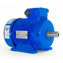 Motor Trifásico TEM
