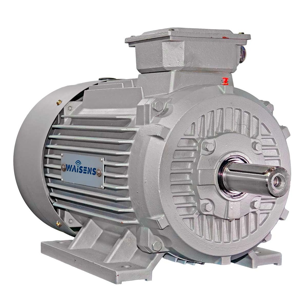 Motor Trifásico MEC Y2