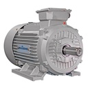 Motor Trifásico MEC Y2