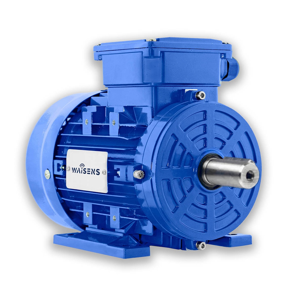 Motor Trifásico Waisens