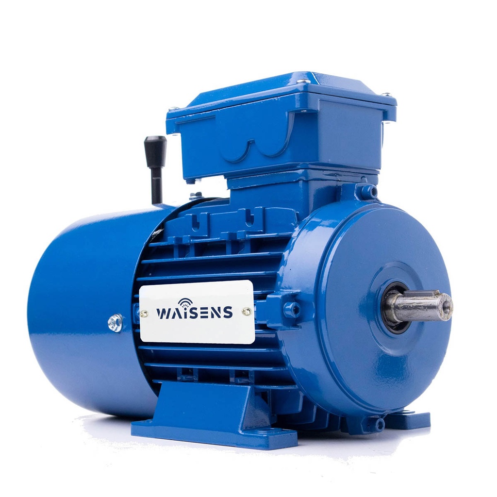 Motor trifasico con freno Waisens
