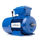 Motor trifasico con freno Waisens