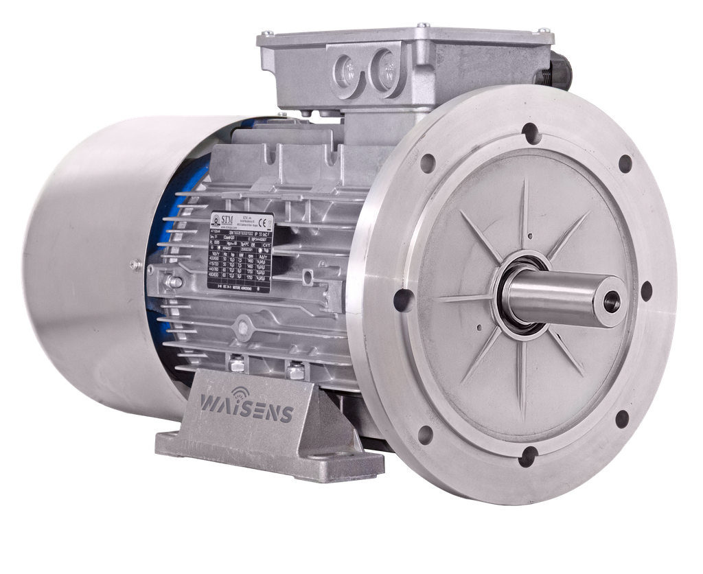 Motor trifásico con freno STM