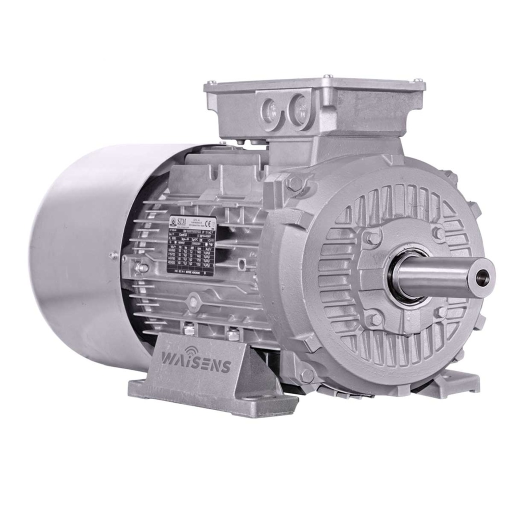 Motor trifásico con freno STM
