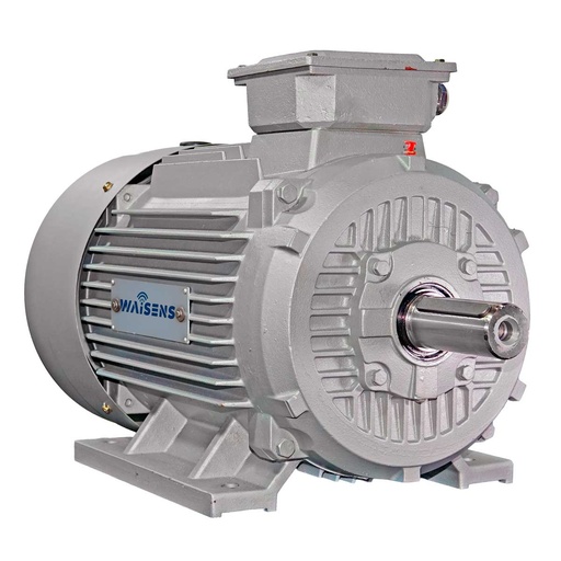 Motor Trifásico MEC Y2